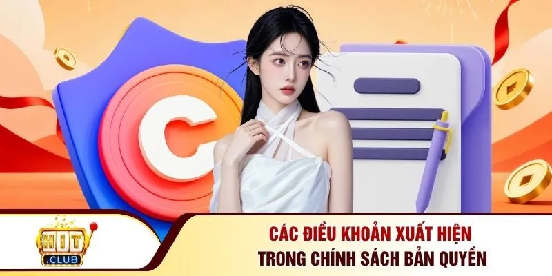 Các điều khoản xuất hiện trong chính sách bản quyền